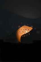 Astris Luminary