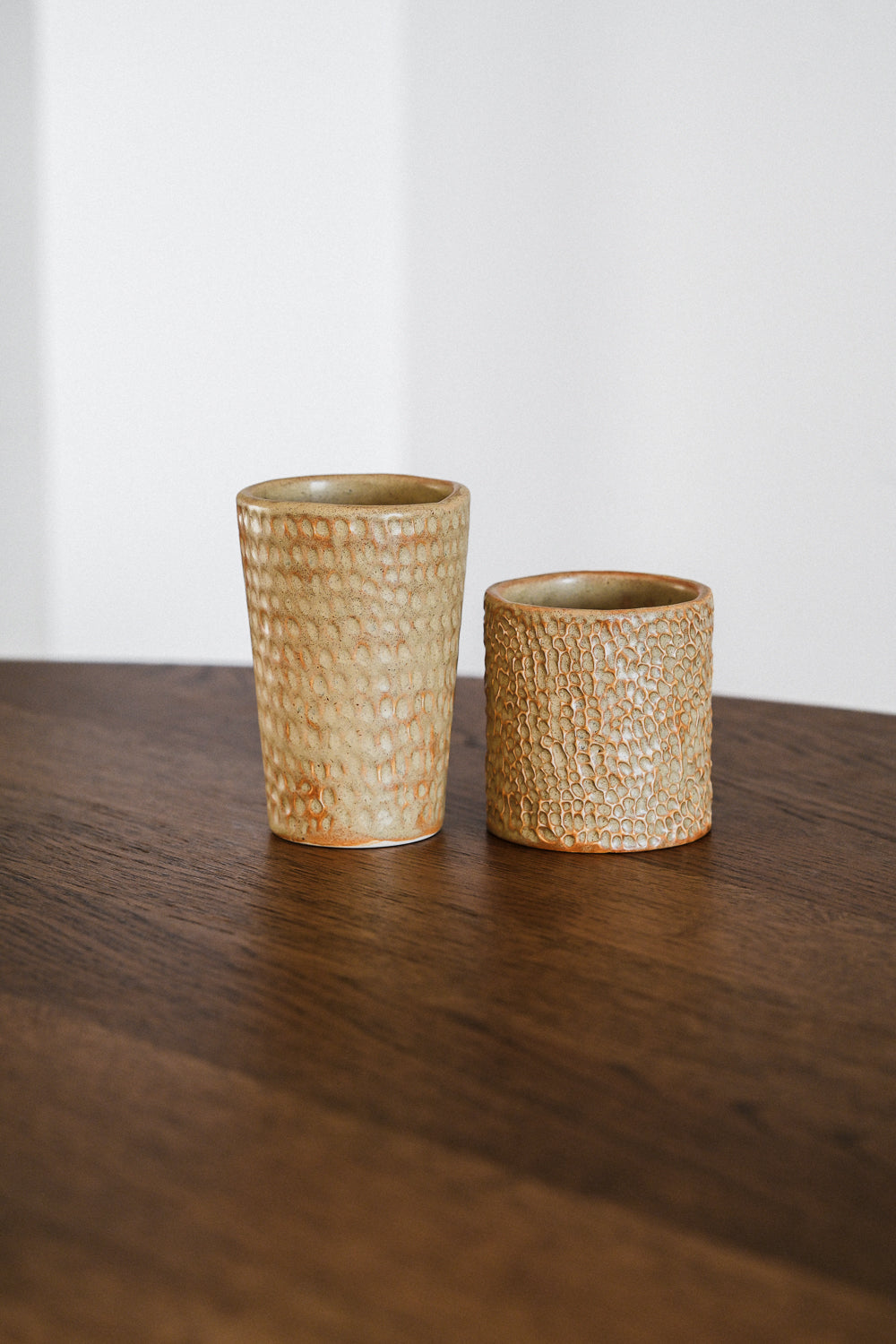 Ishi Mugs