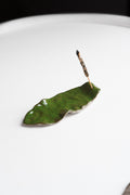 Leaf Incense Holder