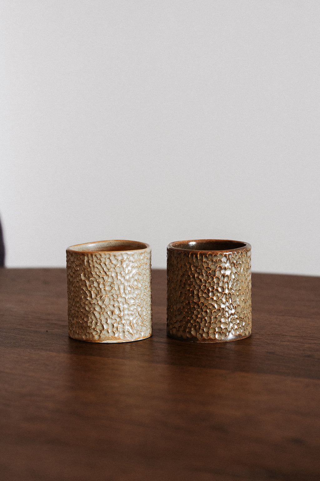 Ishi Mugs