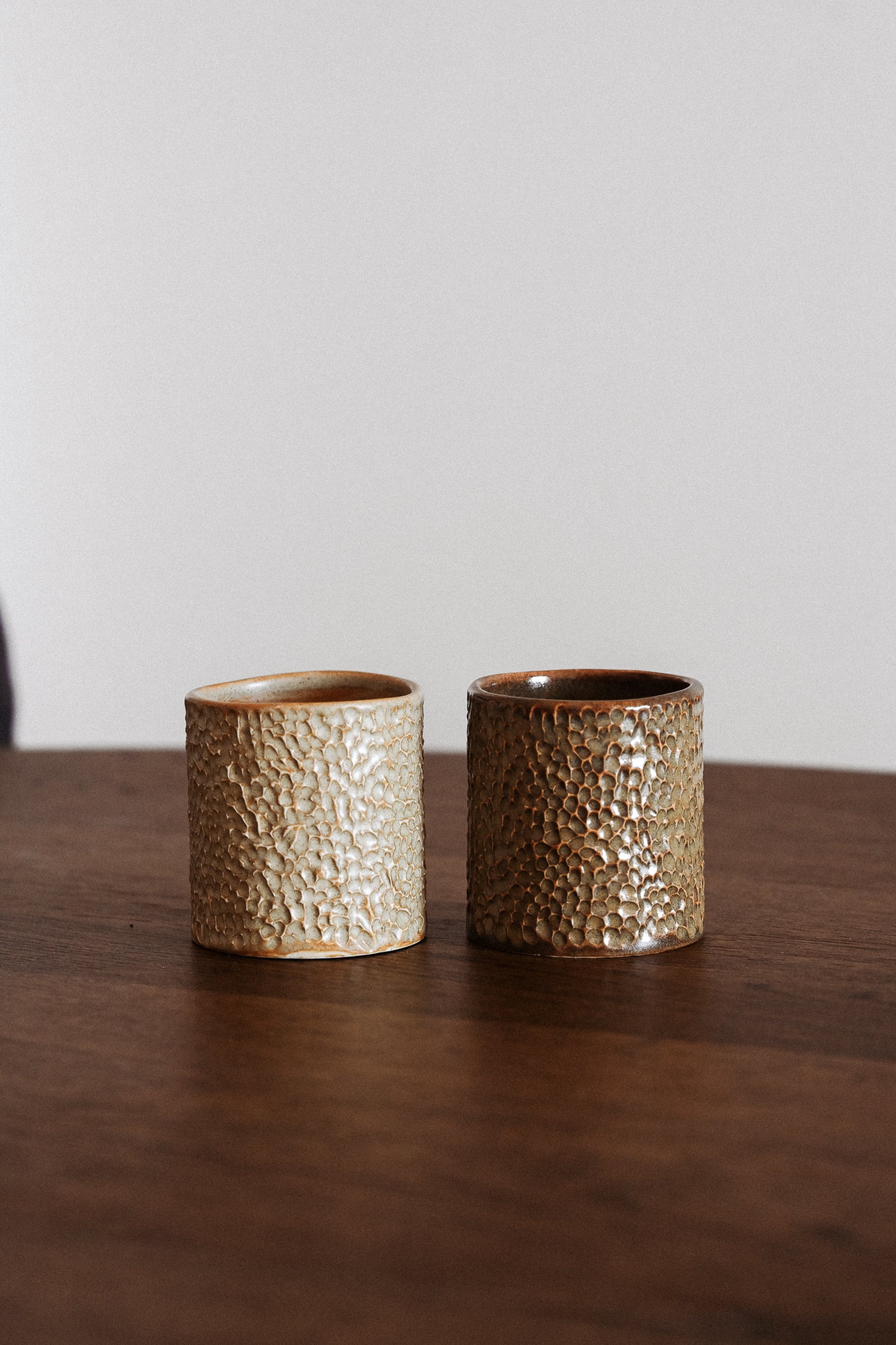Ishi Mugs